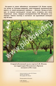 List_15_ПОСЛ СТР_2